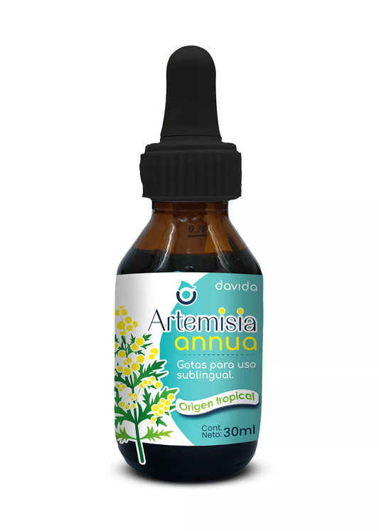 Artemisia Annua | gotero 30ml
